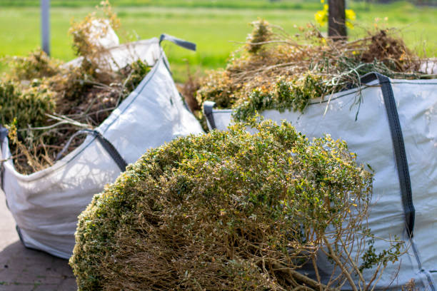 Best Professional Junk Removal  in Lakeside, MT