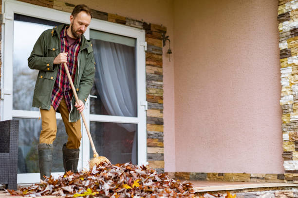 Best Electronics Removal Services  in Lakeside, MT
